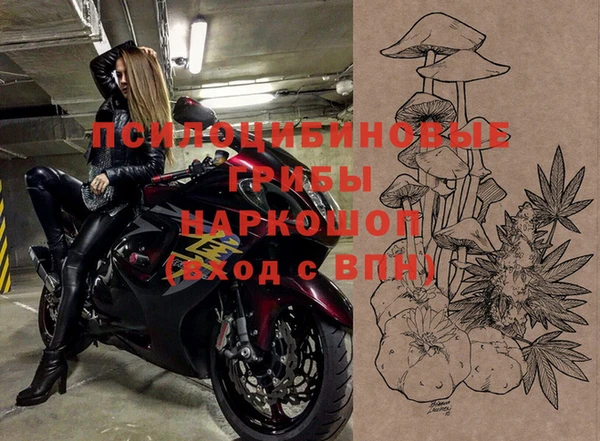 сатива Арсеньев