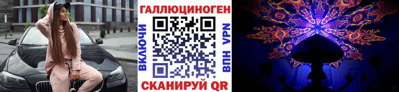 KRAKEN как зайти  Буйнакск  Галлюциногенные грибы прущие грибы 
