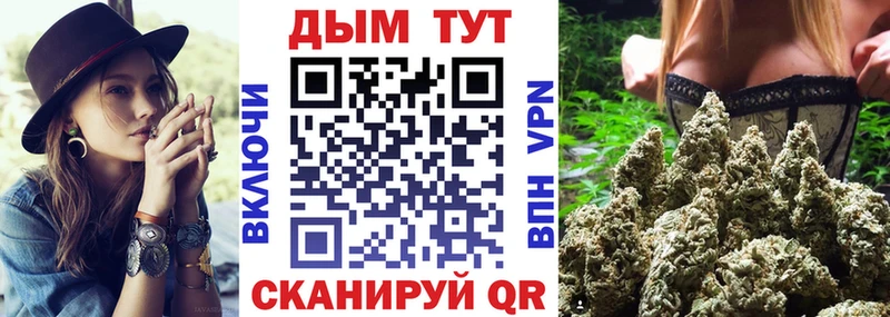 Бошки марихуана семена  Буйнакск 